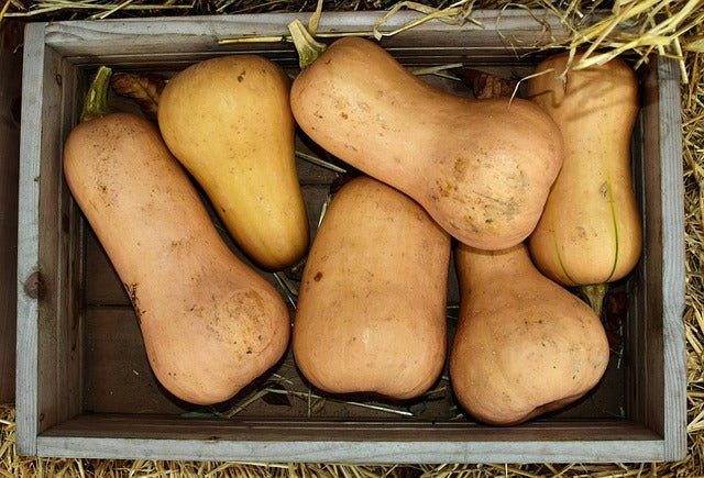Comment cuisiner la butternut
