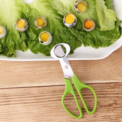 Coupe oeuf coupe oeuf de caille compact