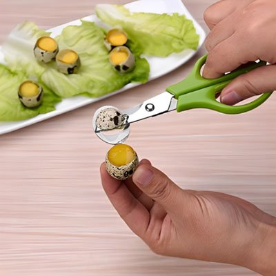 Coupe oeuf coupe oeuf de caille facile