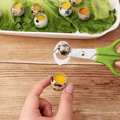 Coupe oeuf coupe oeuf de caille sans éclats d'écaille